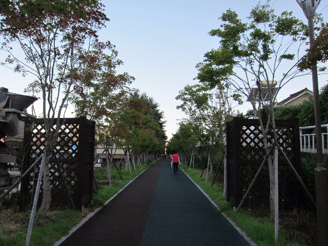 jdg01.JPG