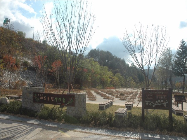 jdg03.jpg