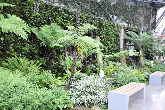 bong3.JPG
