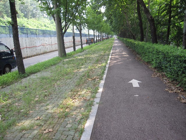 cho02-1.jpg