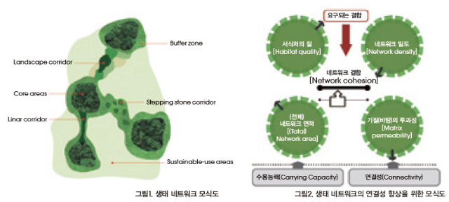모식도.png