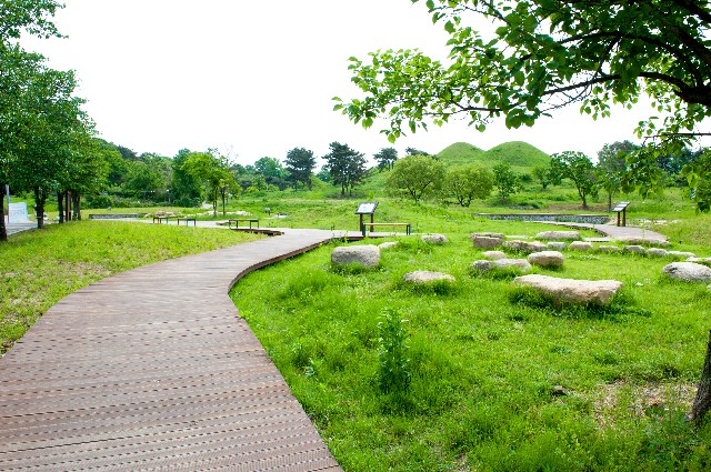 DAEGU7.JPG