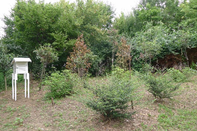 JDG01.JPG