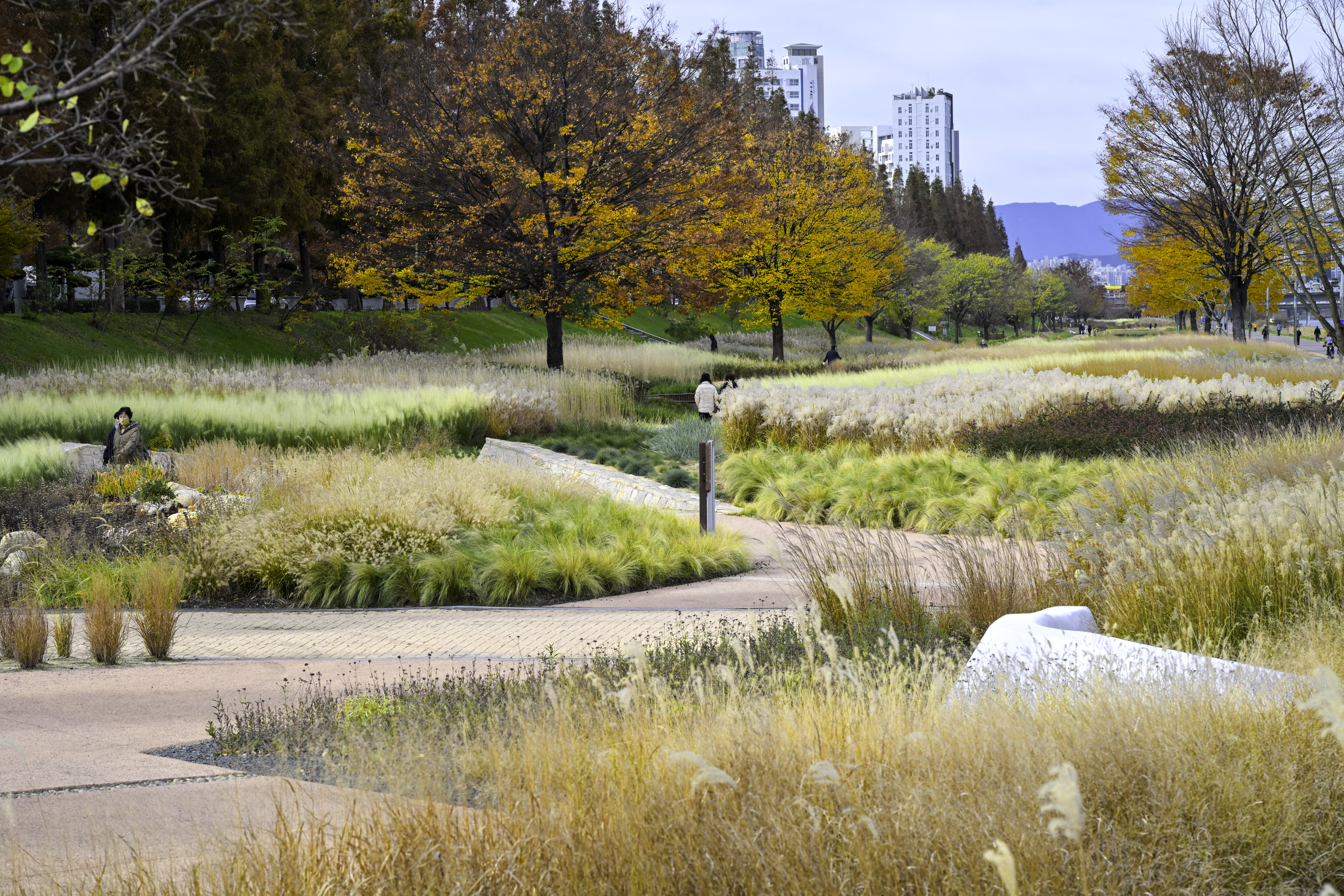 grass01.jpg