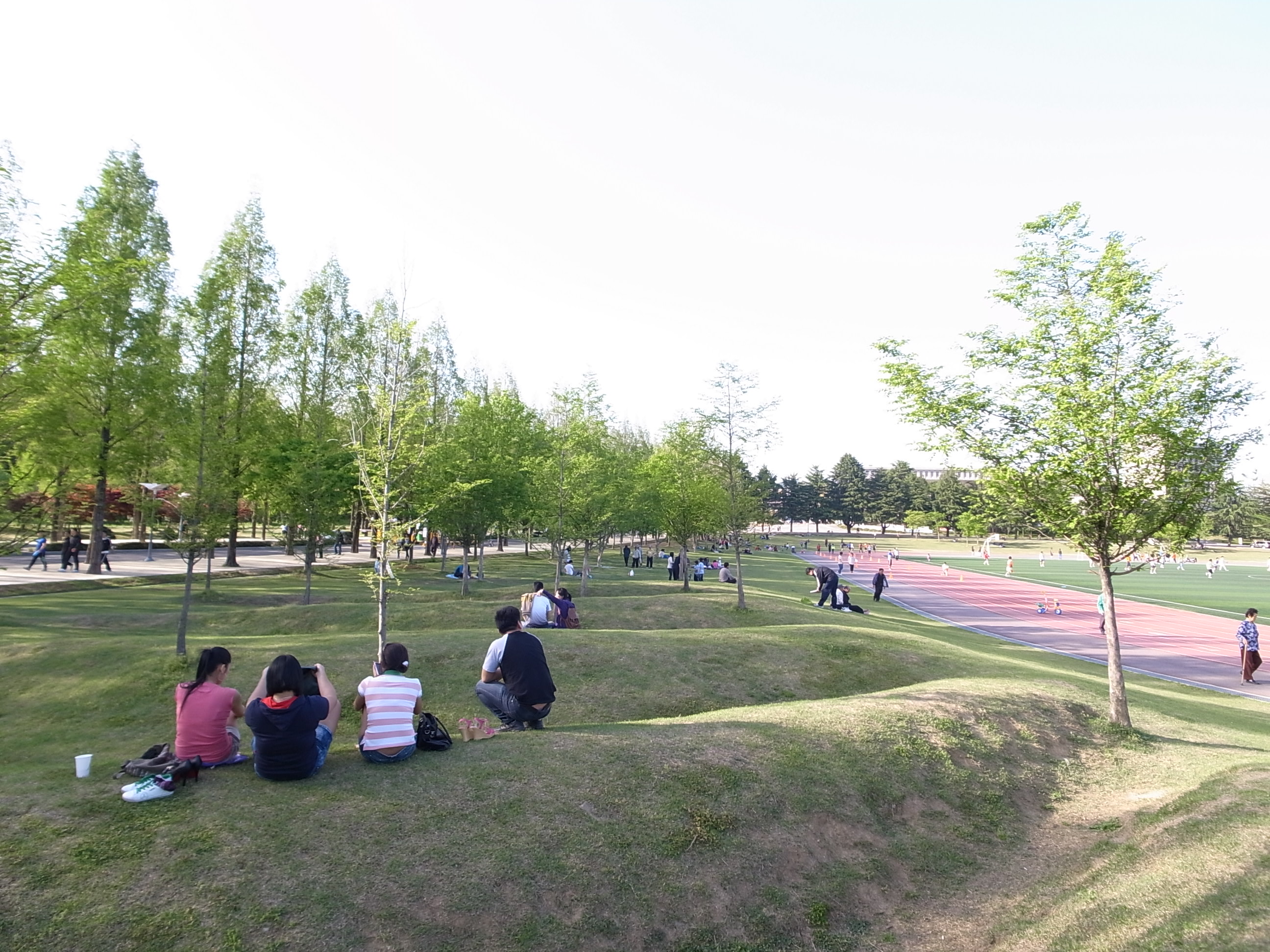parktob 03.JPG