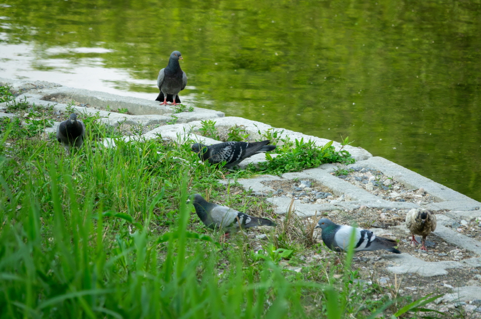 [크기변환]bird01.jpg