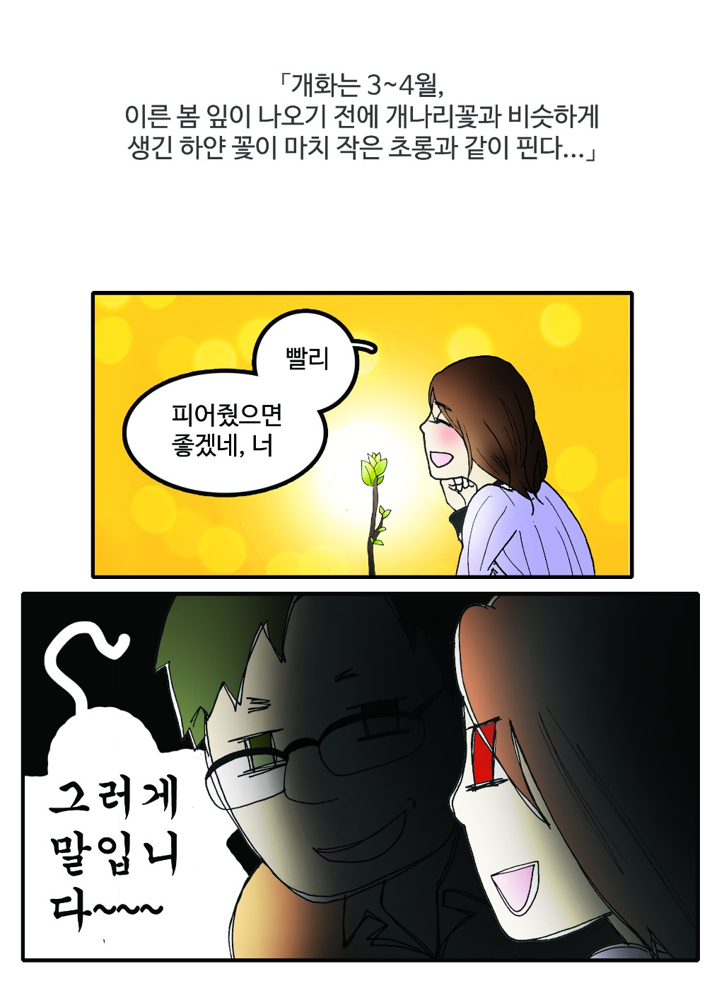 09.jpg