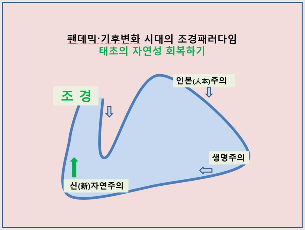보도.jpg