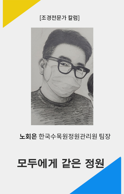 노회은 칼럼 이미지 틀 세로.jpg