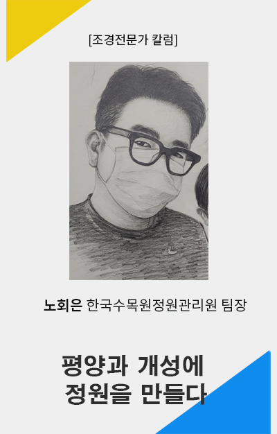 노회은 칼럼 이미지 틀 세로.jpg