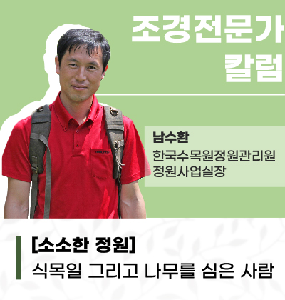 보도보도.jpg