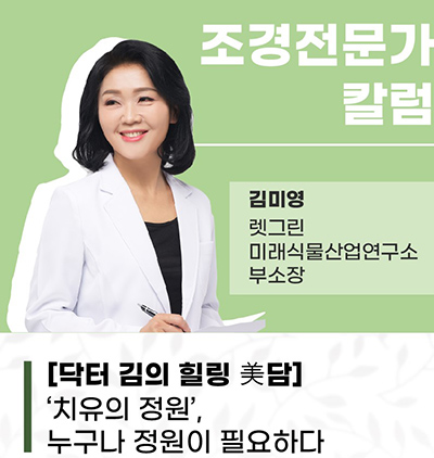 김미영 보도 최종.jpg