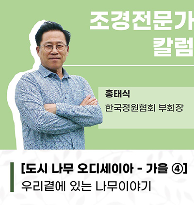 가을 보도4.jpg