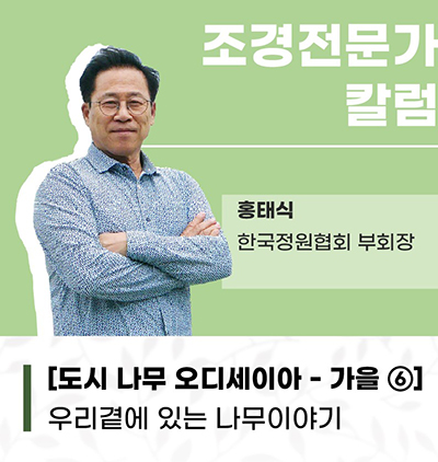 가을 6 보도.jpg