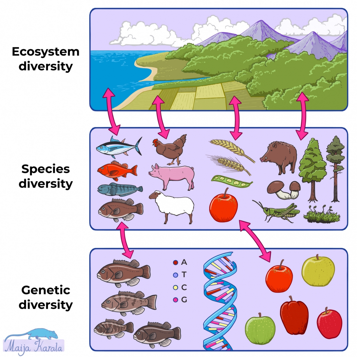 그림6. biodiversity.jpg