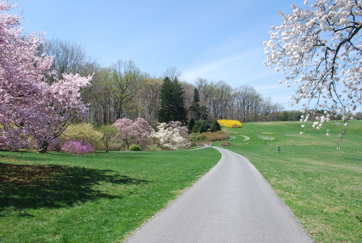 Winterthur_1.jpg