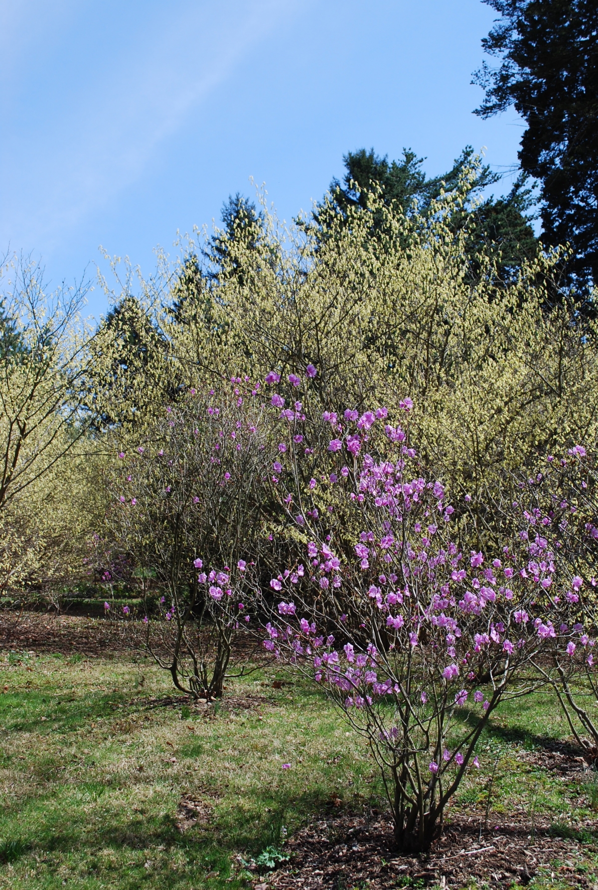 Winterthur_3.jpg