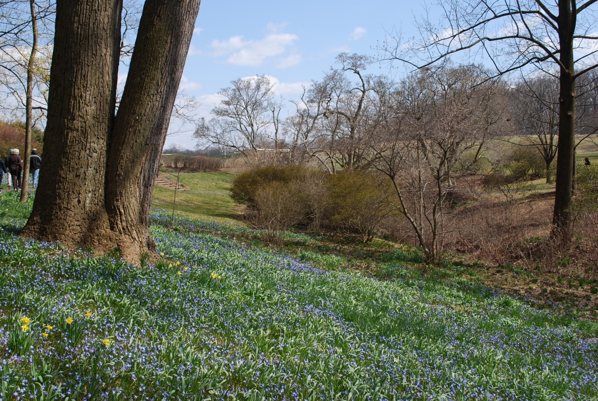 Winterthur_4.jpg