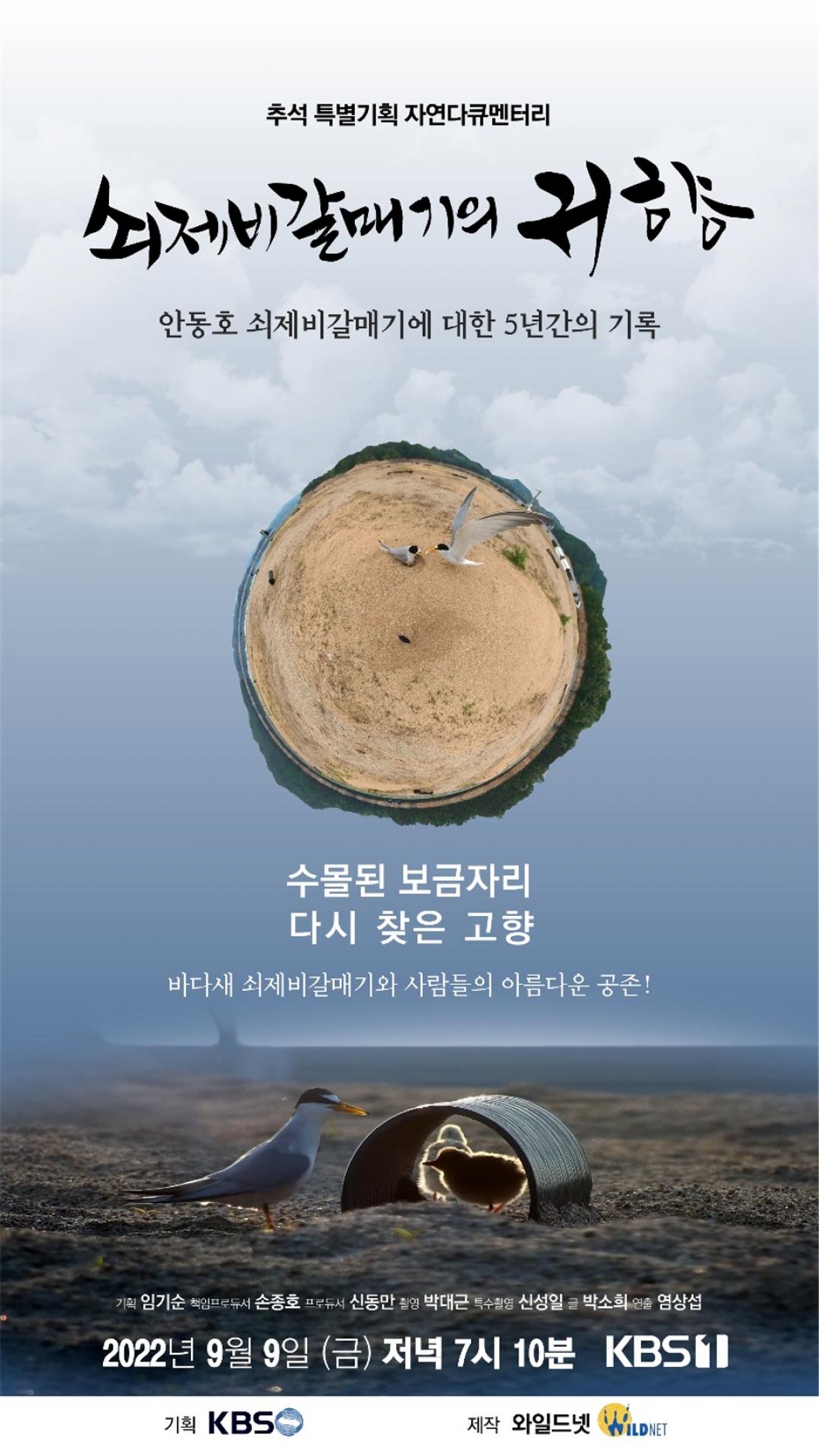 그림22. 쇠제비갈매기의 귀향 포스터.jpg