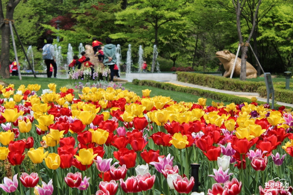 식물원의 봄 - 튤립 (5).jpg