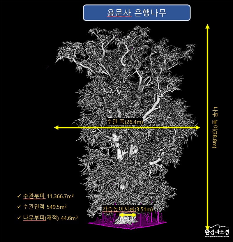 라이다 기술을 활용한 용문사 은행나무의 생장 정보.jpg
