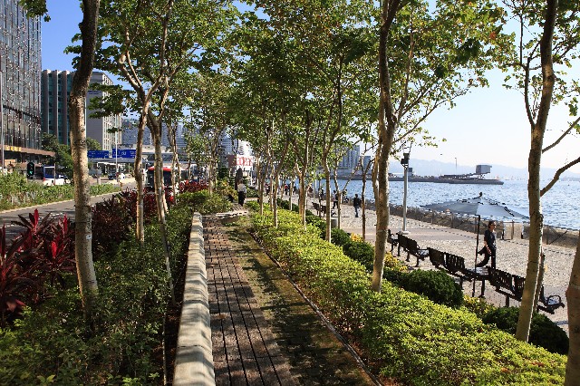 HK 009-1.JPG