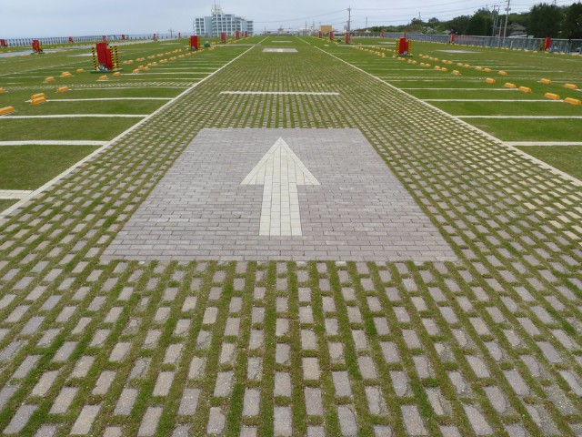 hgh 001.jpg