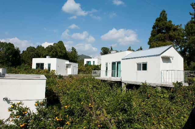 jwj 001.JPG
