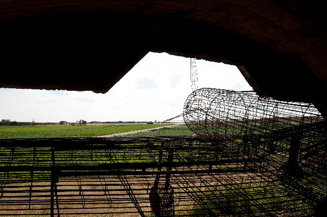 ggan 002-1.JPG