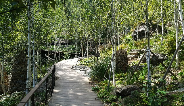 forest01.jpg