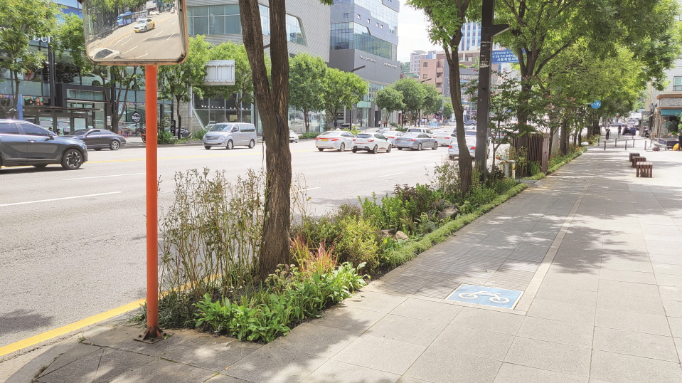 [크기변환]green 2.jpg