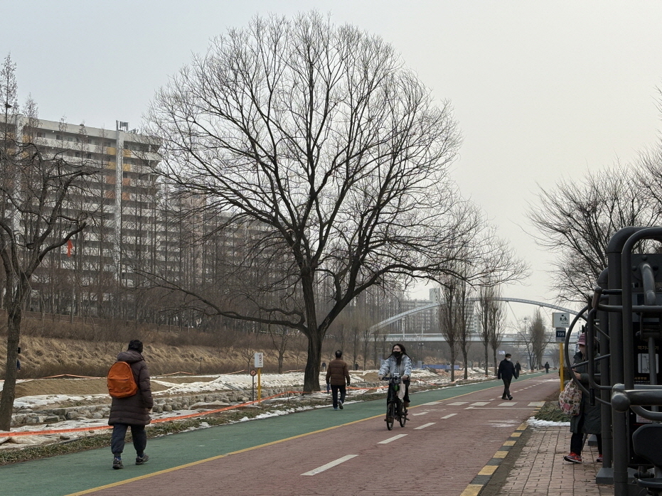 [크기변환]parkcsi 02-4.jpg