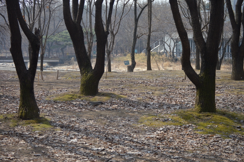 [크기변환]DSC_0012.jpeg