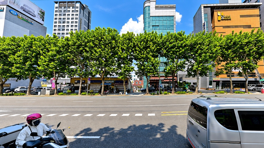 [크기변환]street01.jpg