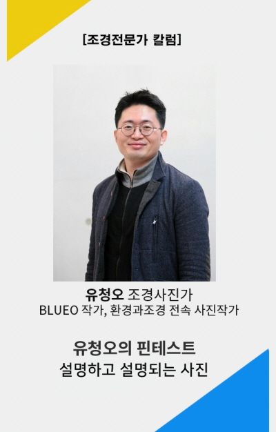 칼럼 세로.jpg