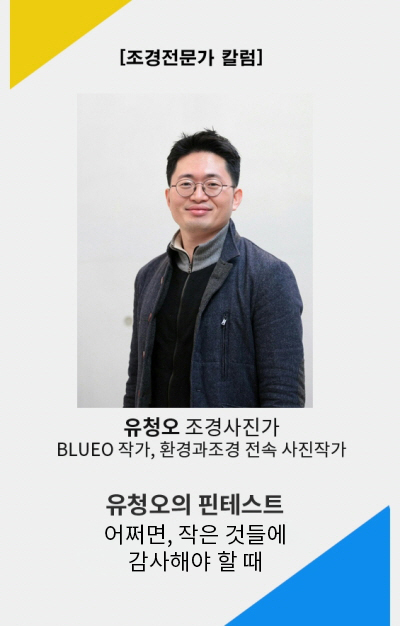 유청오의 핀테스트.jpg
