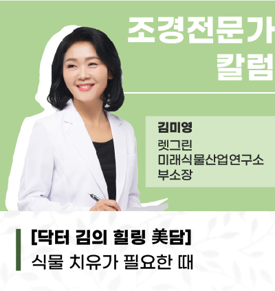 본문.jpg