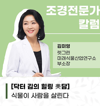김미영 보도2.jpg