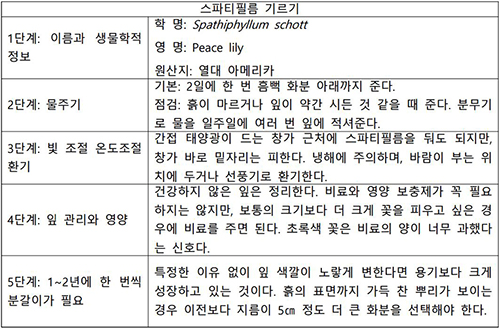 보도 스파티.jpg