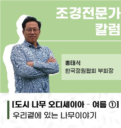 칼럼프로필_시안_수정-07.jpg
