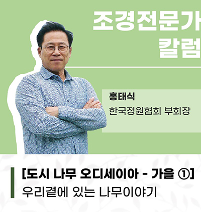 가을 보도ㅂㄷ1.jpg