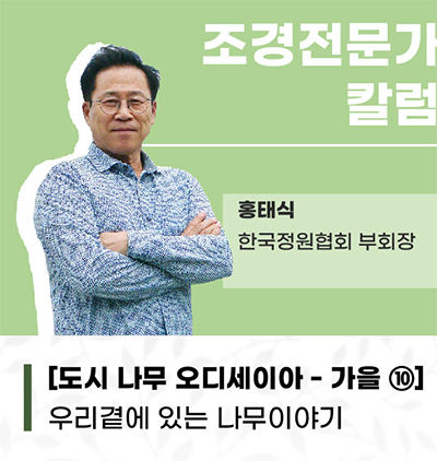 보도.jpg