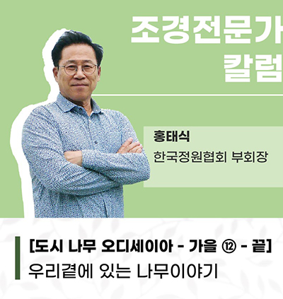 끝 12 보도ㅂㄷ.jpg