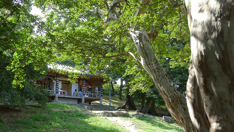 11전국 산수간의 정자도 자연스러운 만남과 소통의 장이다. 담양 명옥헌.jpg