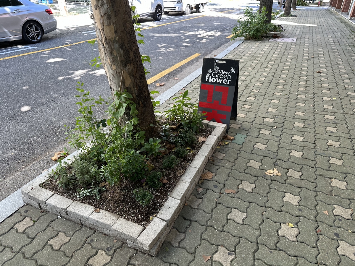 마포구에서 만난 한뼘정원_1.jpg