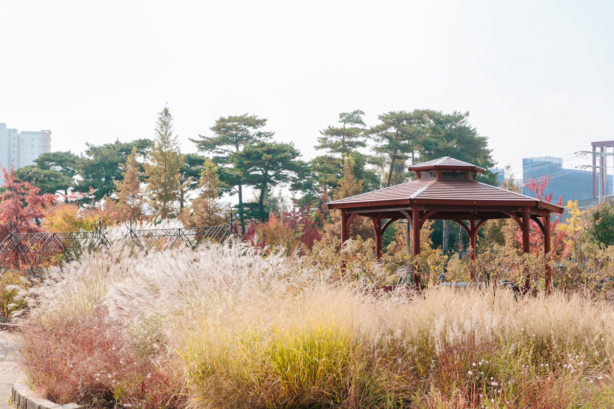 푸른수목원.jpg