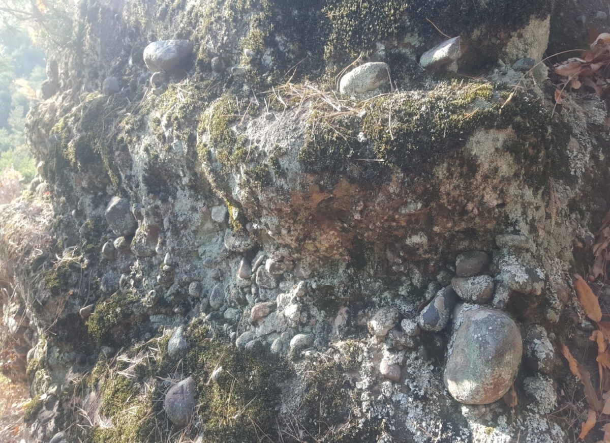image00003.jpeg