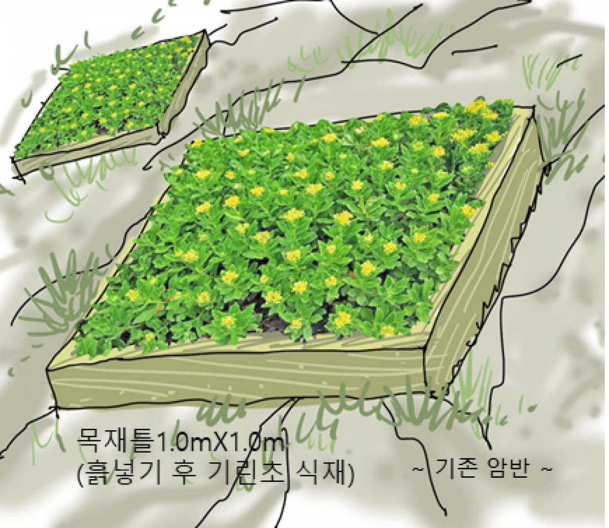 image00007.png