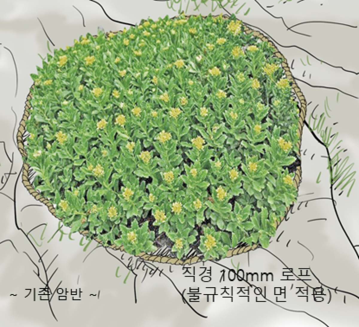 image00008.png