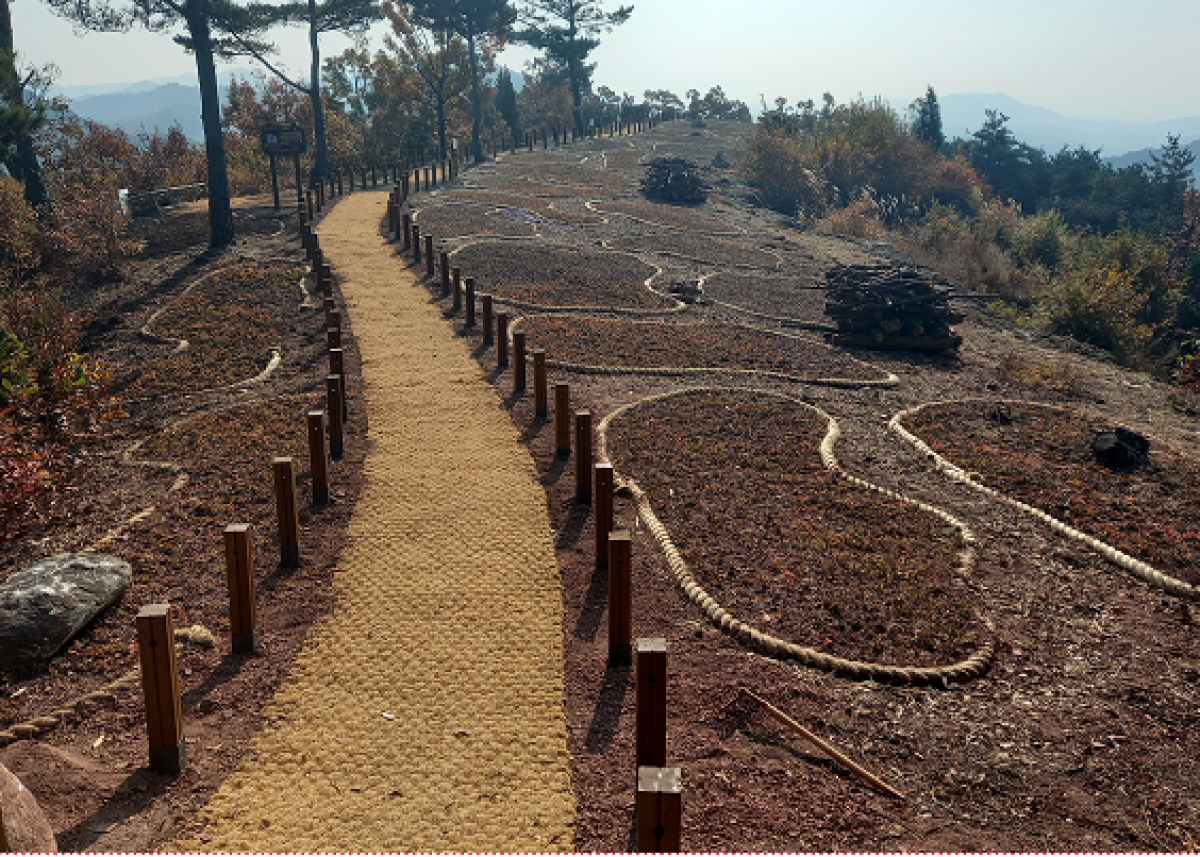 image00014.png